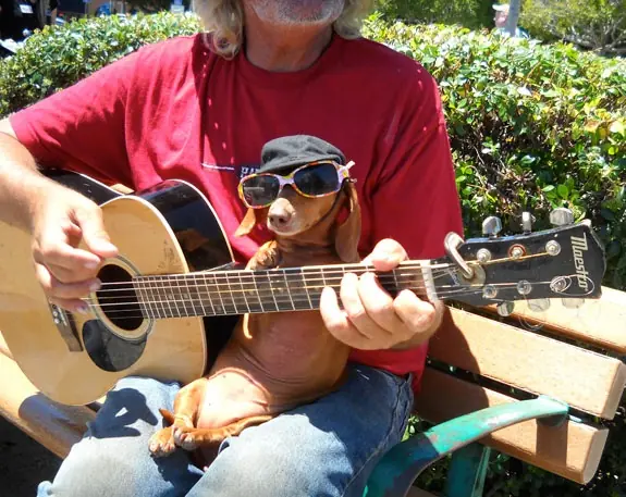 el mejor amigo del hombre