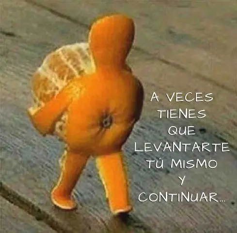 vida diaria