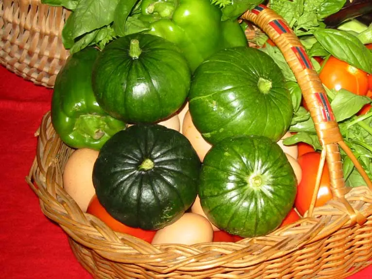 nutritivas