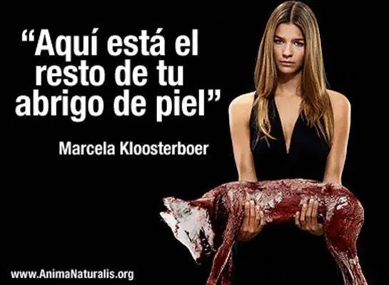 Animales
