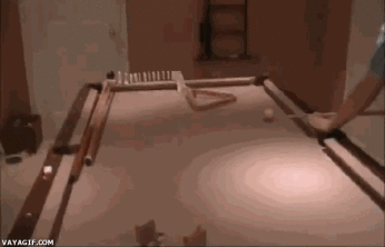 Gifs