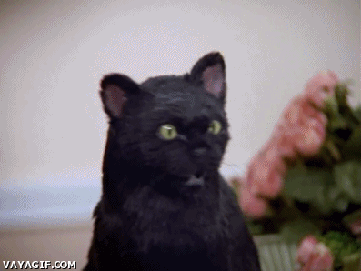 Gifs
