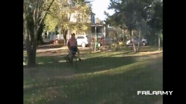 Gifs