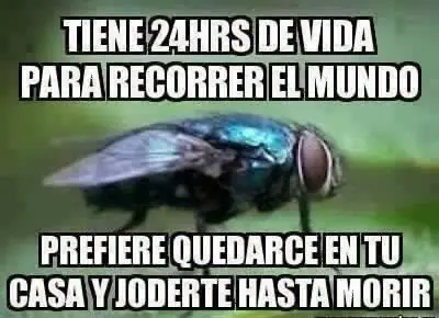 Estando en Casa