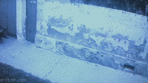 Gifs supermega recopilacion uno