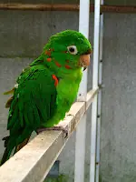 isla
