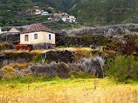 isla de madeira, la perla del atlántico