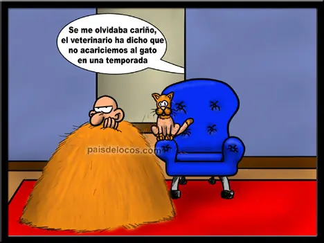 graciosas