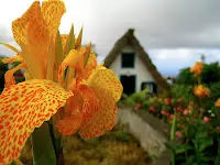 Madeira