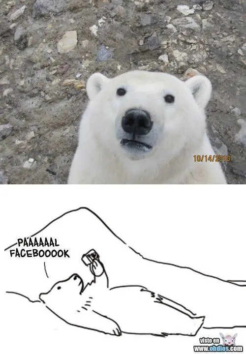 jajaja
