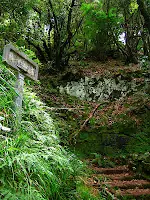 isla de madeira