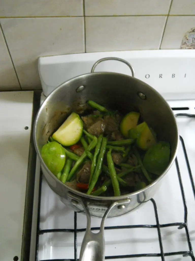 carne guisada