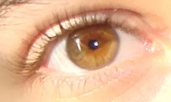 colores