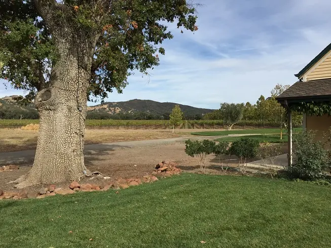 Viajecito por el Norte de California