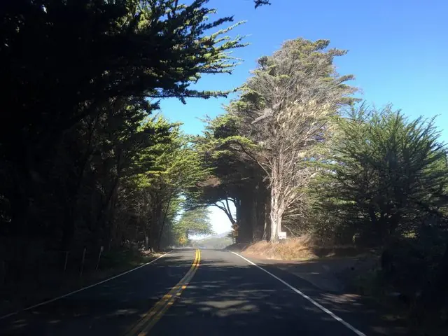 Viajecito por el Norte de California