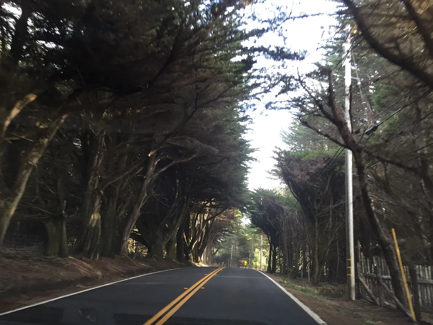 fort bragg