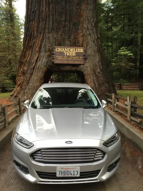 mendocino california