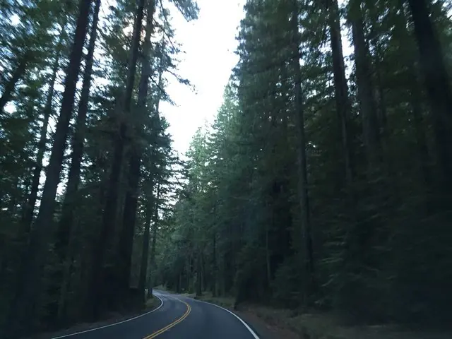 Viajecito por el Norte de California