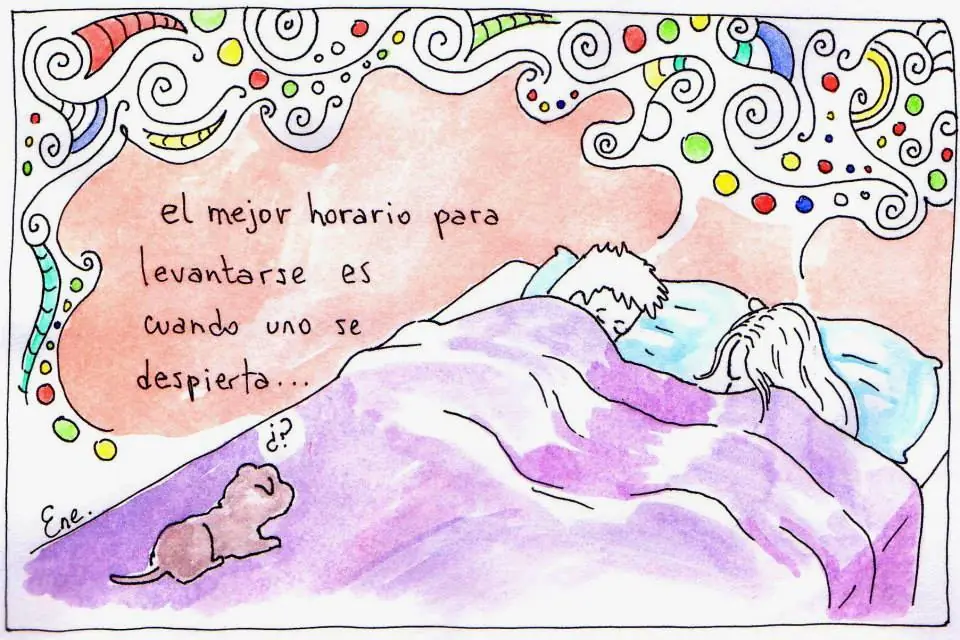 Ene - Dibujante, ilustrador y yo qué sé