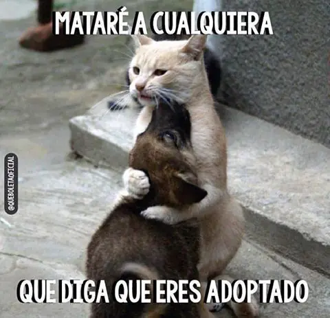 humor