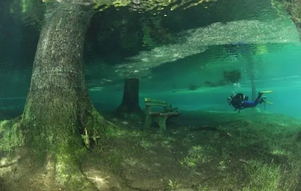 26 verdades tan extrañas que parecen mentiras.