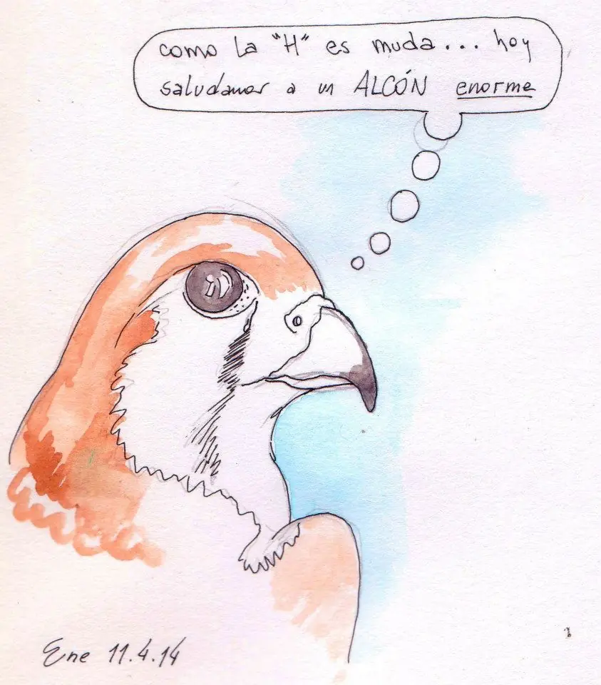 ilustracion