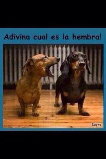 frases