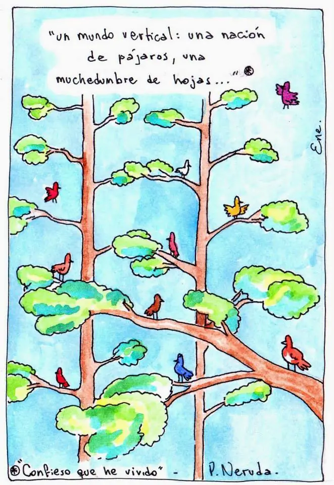 Ene - Dibujante, ilustrador y yo qué sé