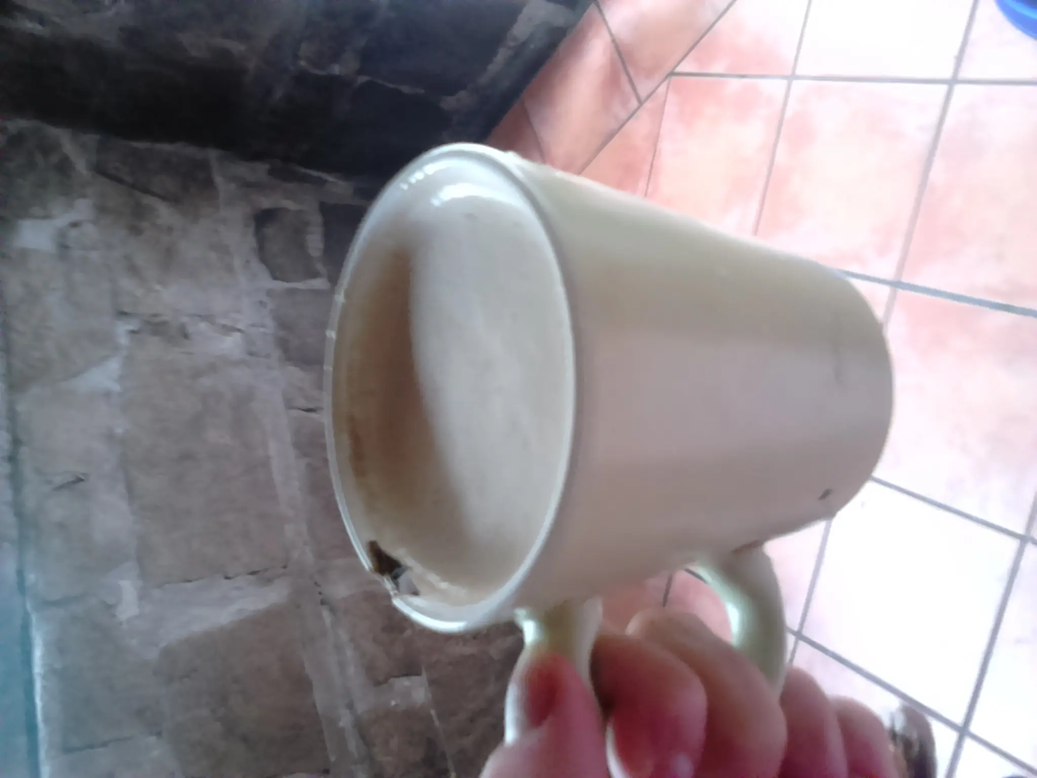 leche avena
