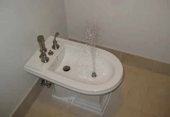 bidet