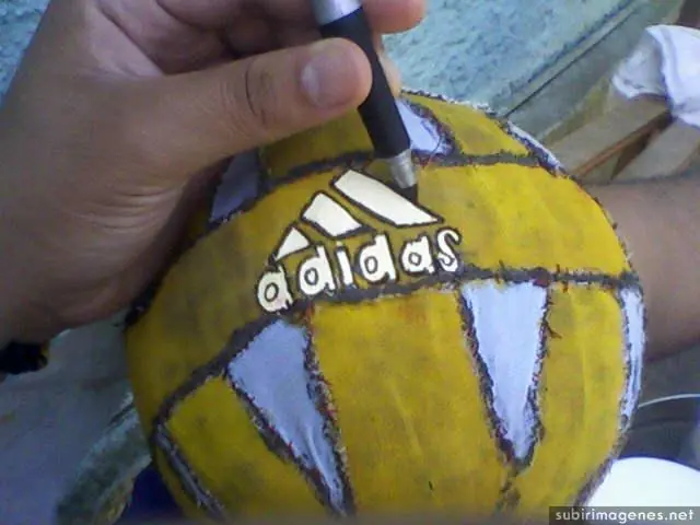 pelota