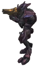 halo