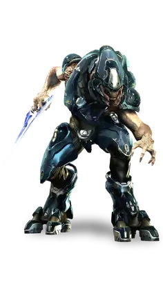 halo reach fps