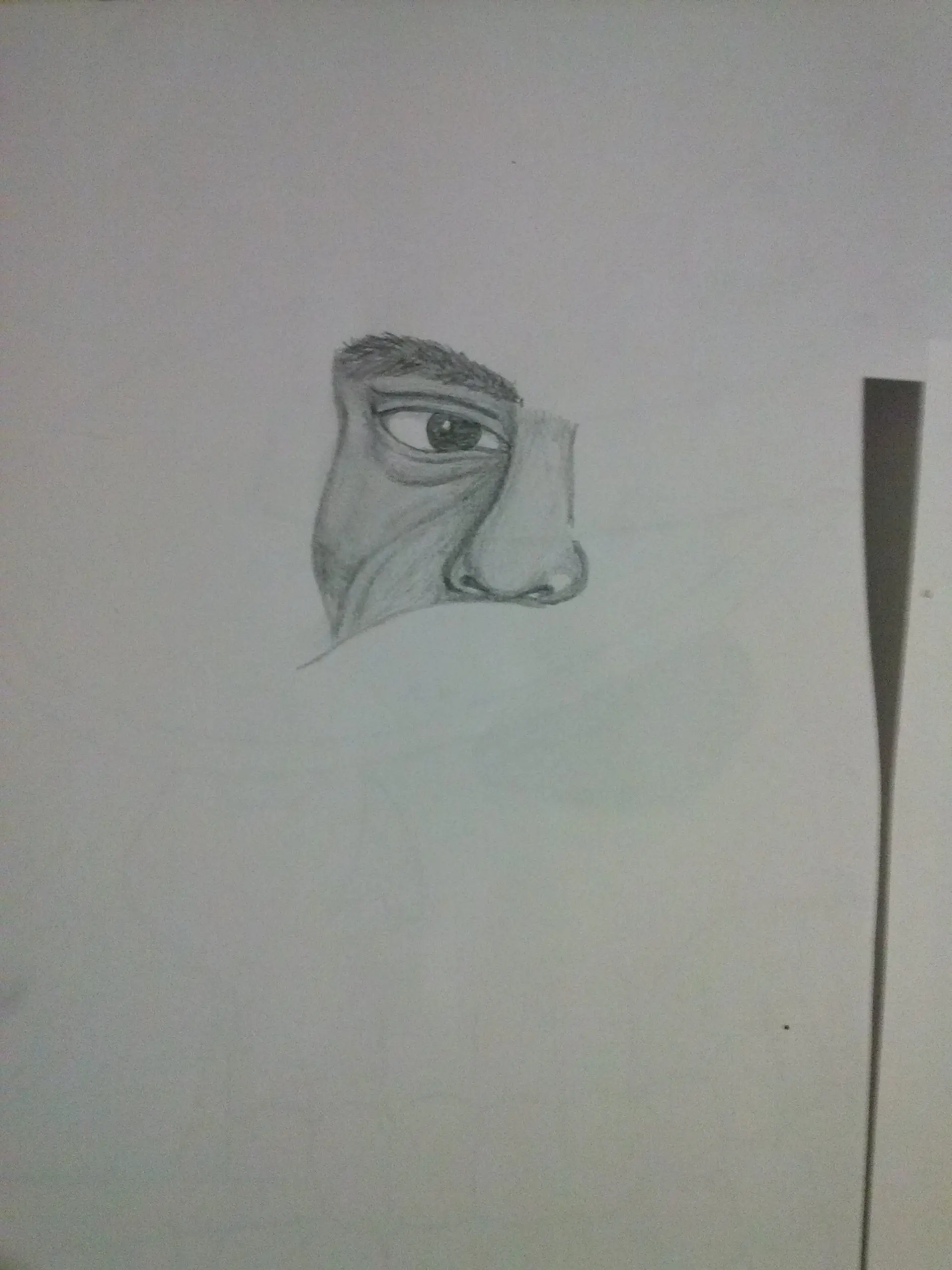 Dibujo