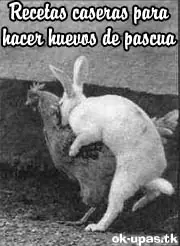 Para reir un rato