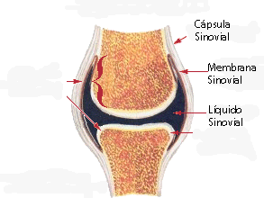 ¿Por qué nos crujen los nudillos?