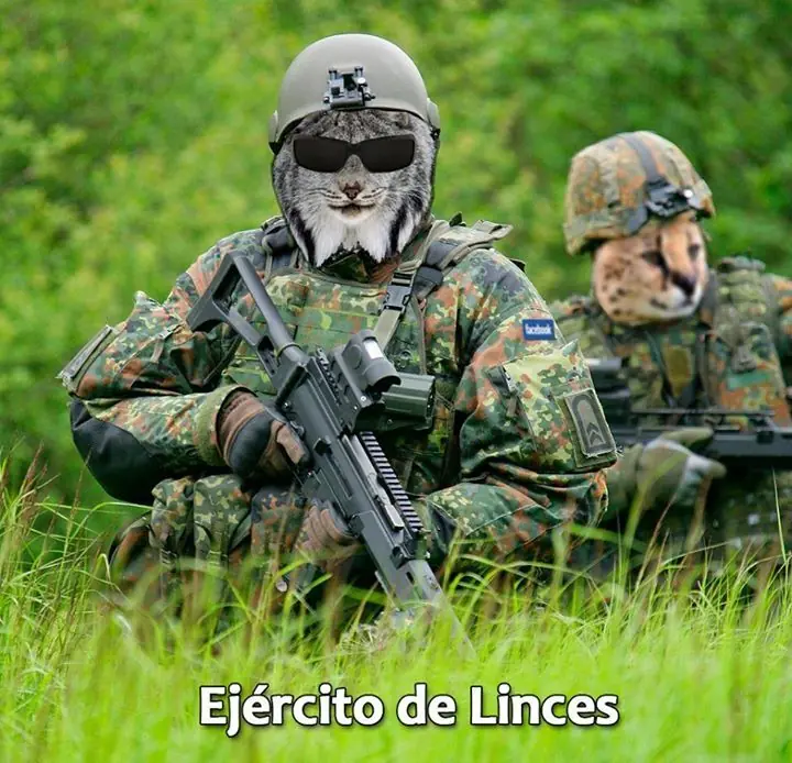 Ejercito Lince