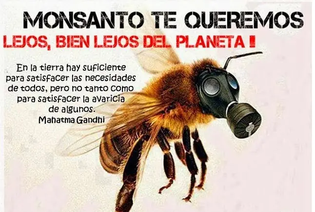 clima