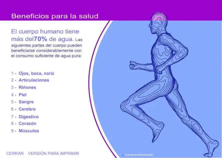 estilo de vida