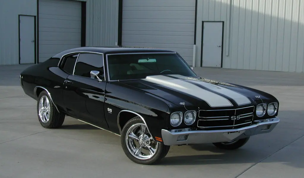muscle