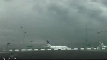 Gifs