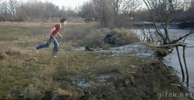 Gifs