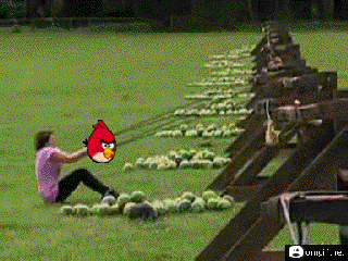 imagenes fail + gifs buenos