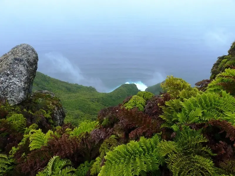 islas de chile