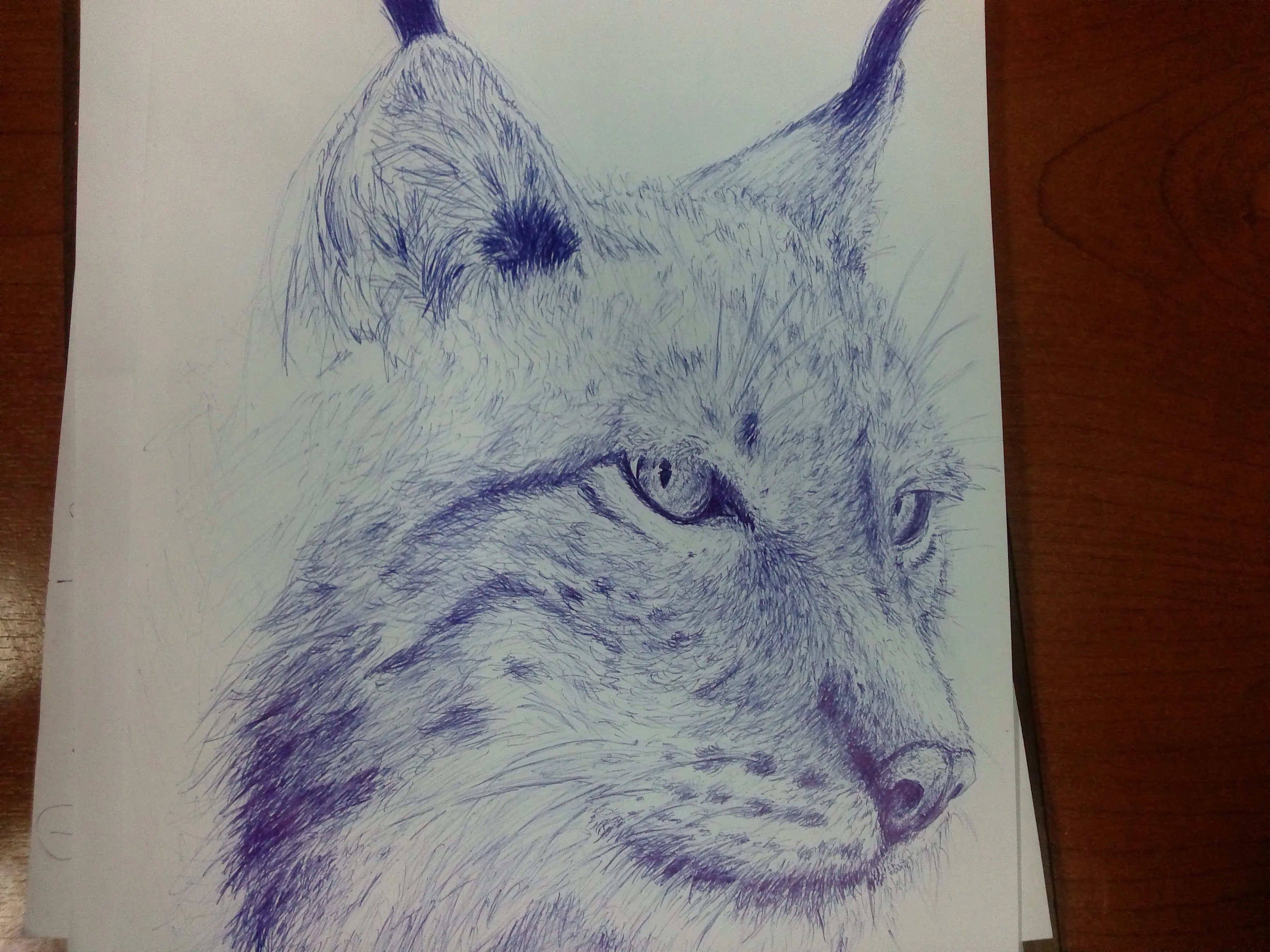 boligrafo