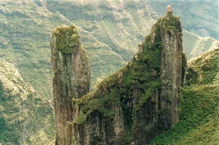 isla alejandro selkirk