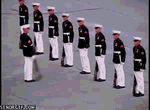 gifs fail