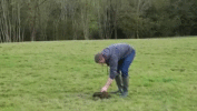 O te ries y disfrutas de estos gifs,,O muero en el intento