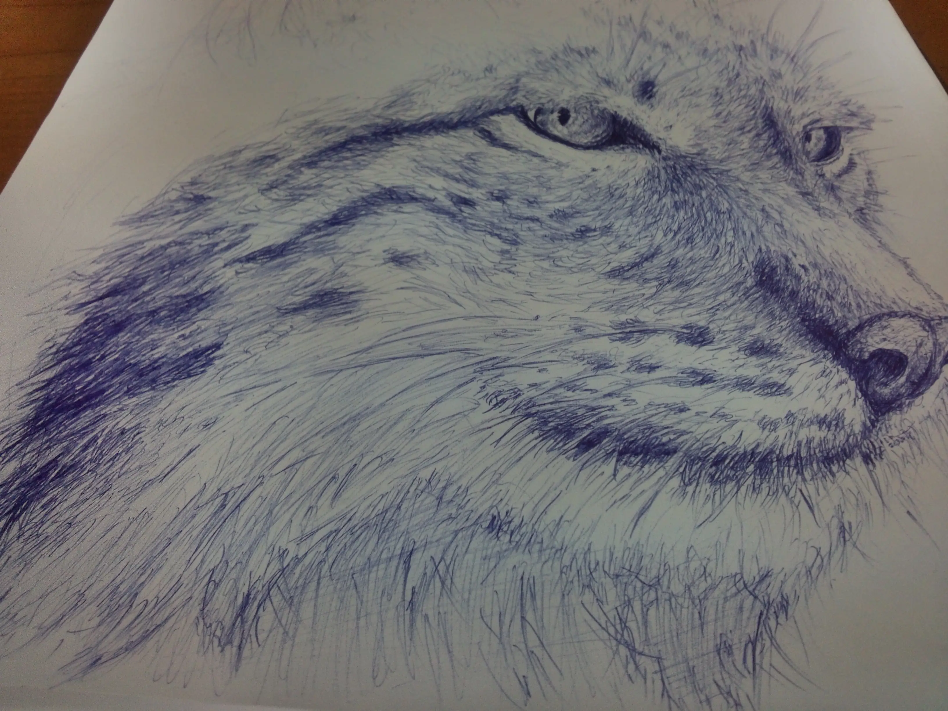 Dibujo