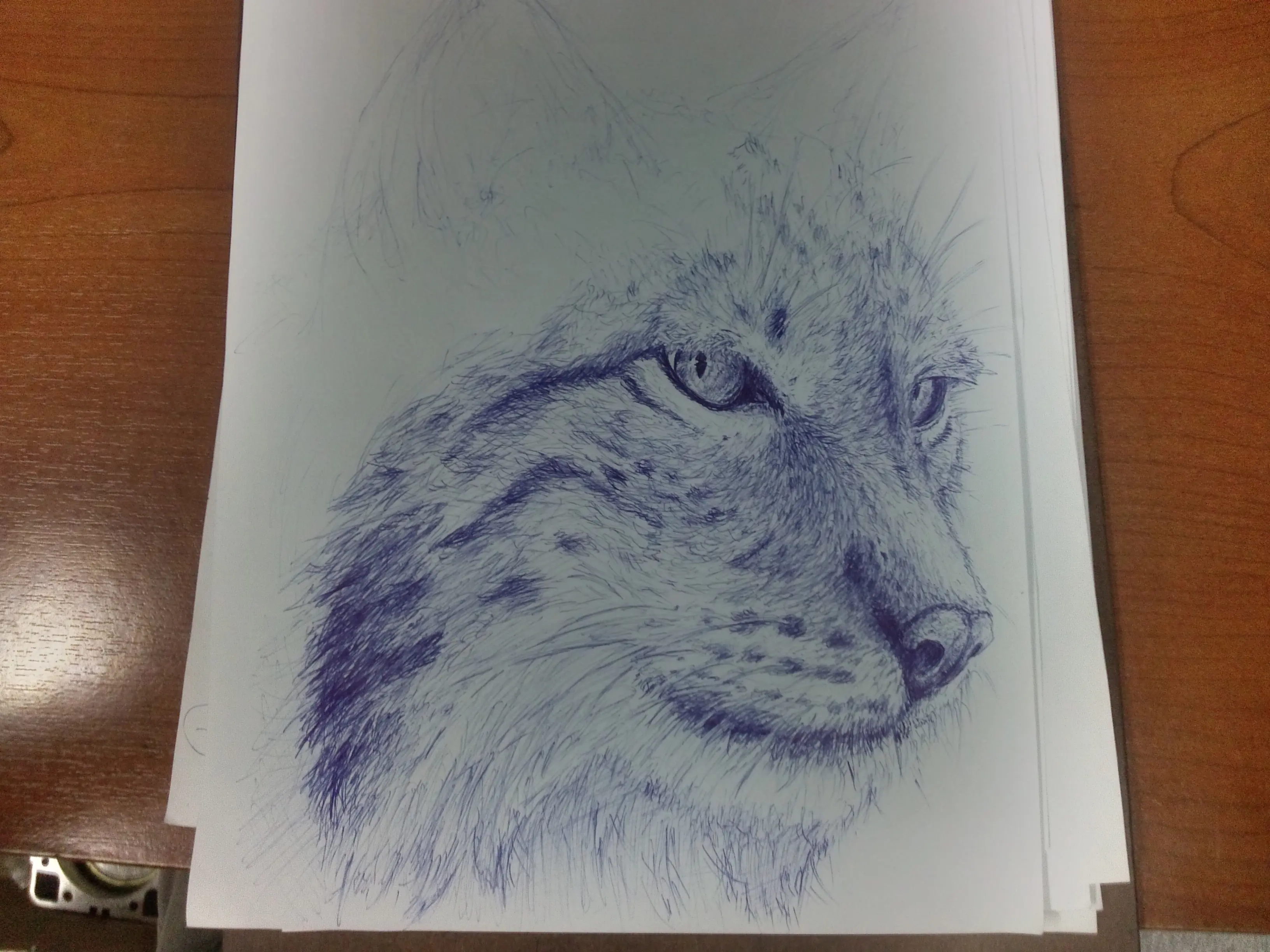 Lince euroasiatico de las estepas nórdicas